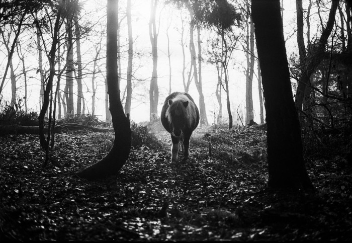 2017_dec_fp4_9